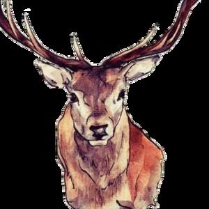 Meet your Posher, Helen